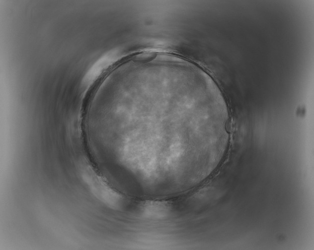 X0000112820296200909181632