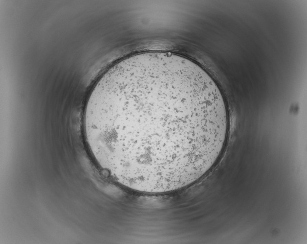 X0000112820297200909181632