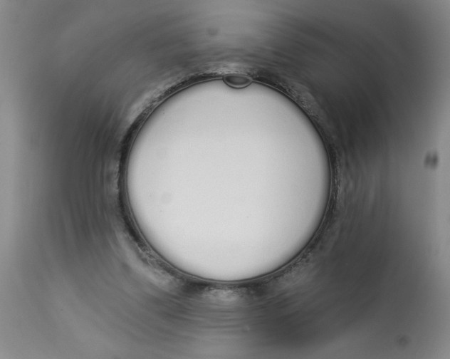 X0000112820299200909181632