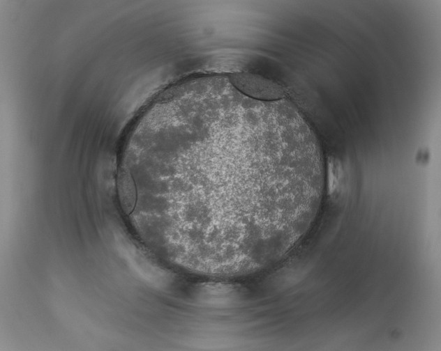 X0000112820300200909181632