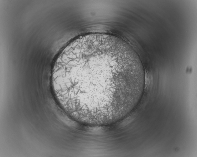 X0000112820301200909181632