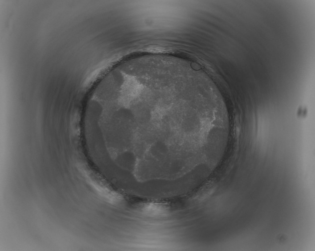 X0000112820303200909181632