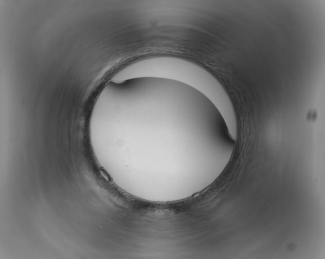 X0000112820304200909181632