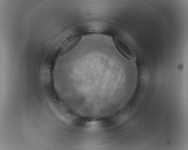 X0000112820312200909181631