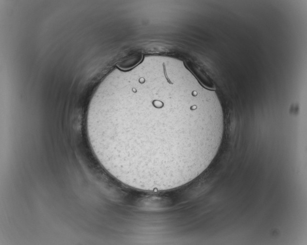 X0000112820315200909181631