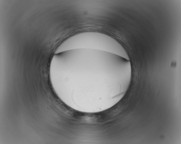 X0000112820317200909181631