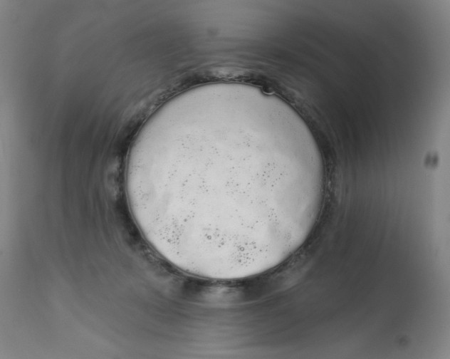 X0000112820319200909181631