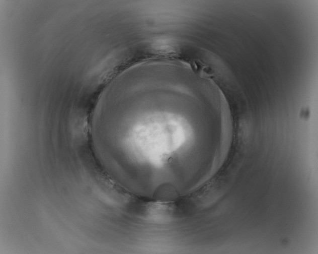 X0000112820320200909181631