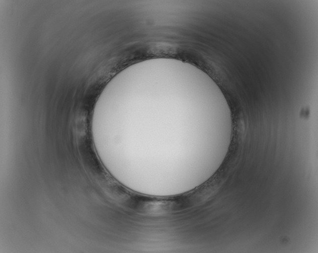 X0000112820323200909181631