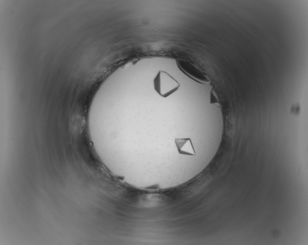 X0000112820324200909181631