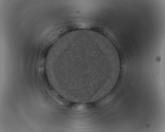 X0000112820325200909181631