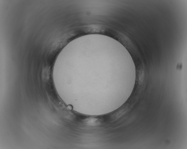 X0000112820326200909181631