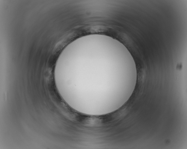 X0000112820327200909181631