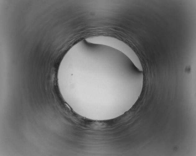 X0000112820328200909181631