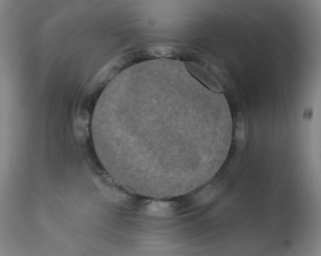 X0000112820332200909181631