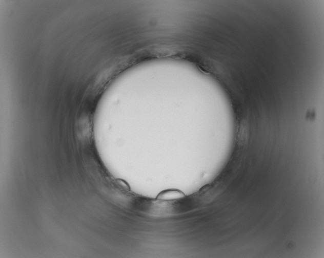 X0000112820335200909181631