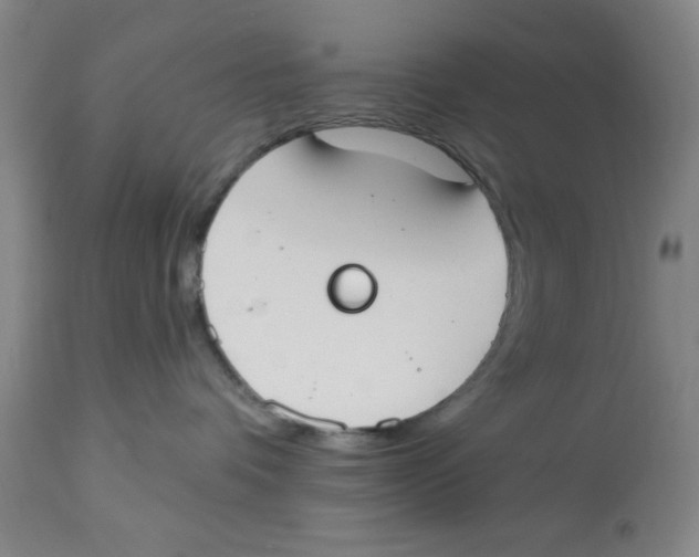 X0000112820336200909181631