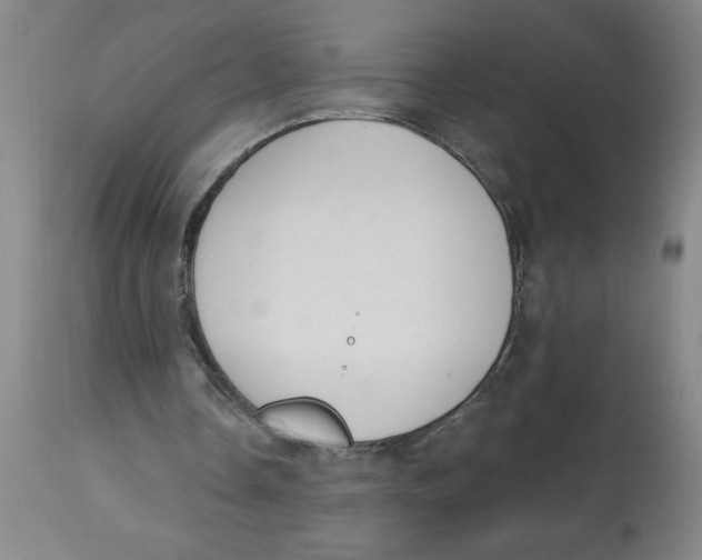 X0000112820338200909181630