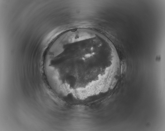 X0000112820339200909181630