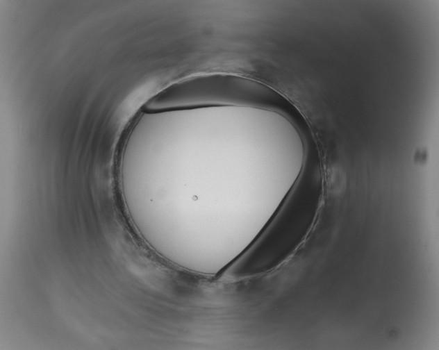 X0000112820340200909181630