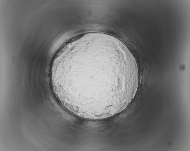 X0000112820341200909181630