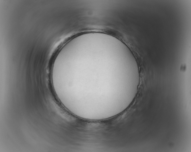 X0000112820342200909181630