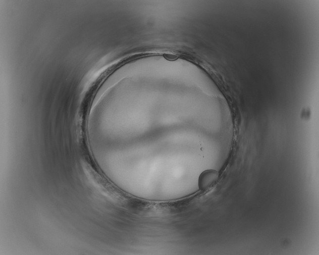 X0000112820343200909181630