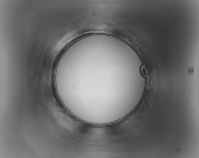 X0000112820344200909181630