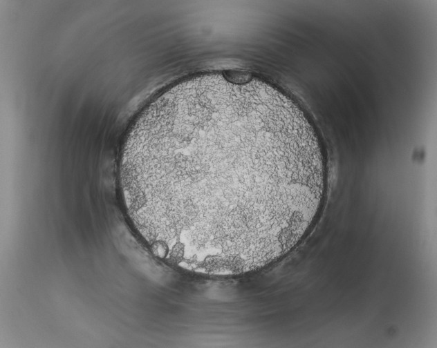 X0000112820345200909181630