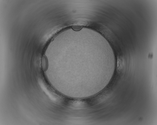 X0000112820348200909181630