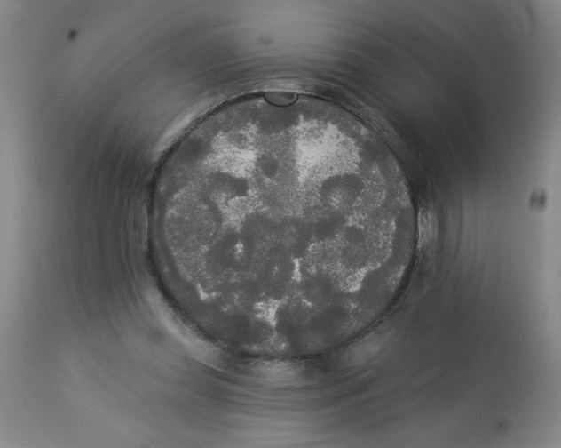 X0000112820349200909181630