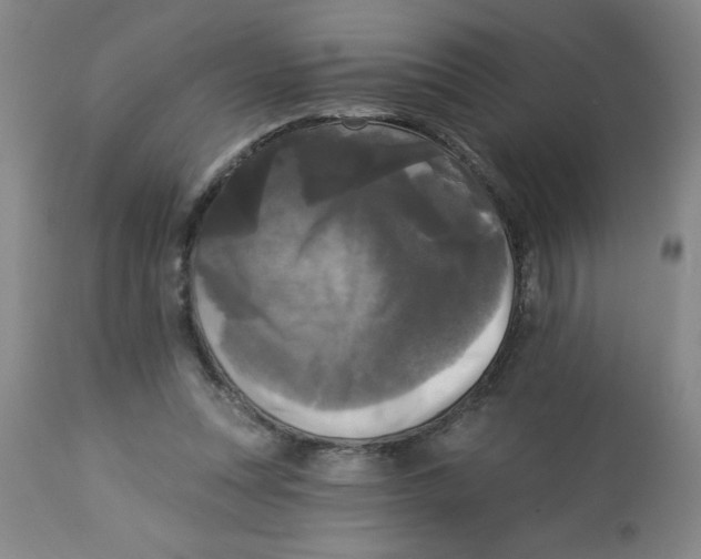 X0000112820351200909181630