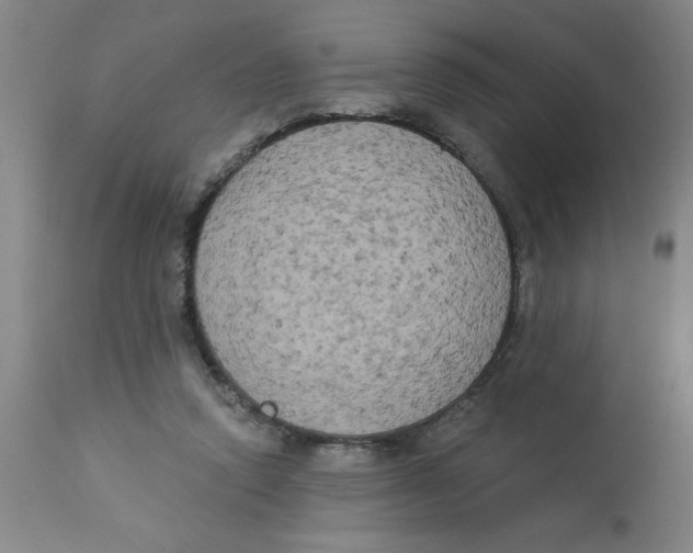 X0000112820354200909181631