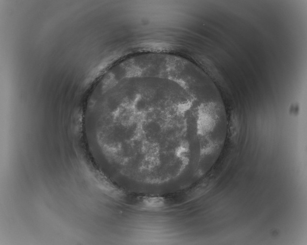 X0000112820355200909181631