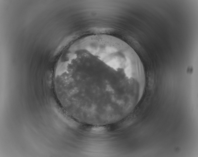 X0000112820357200909181631