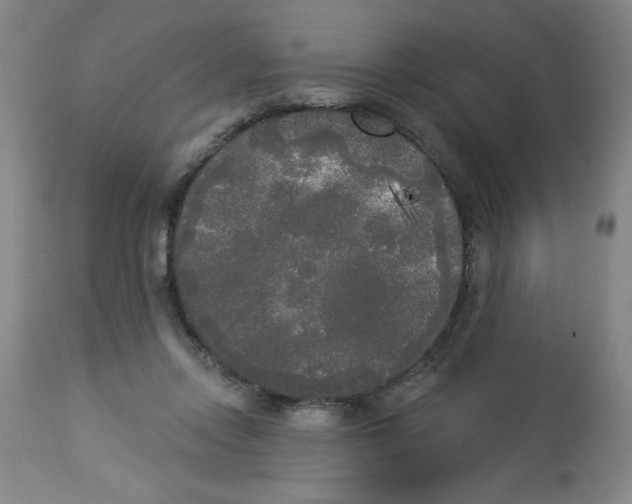 X0000112820358200909181631