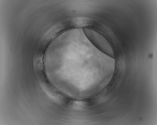 X0000112820360200909181631