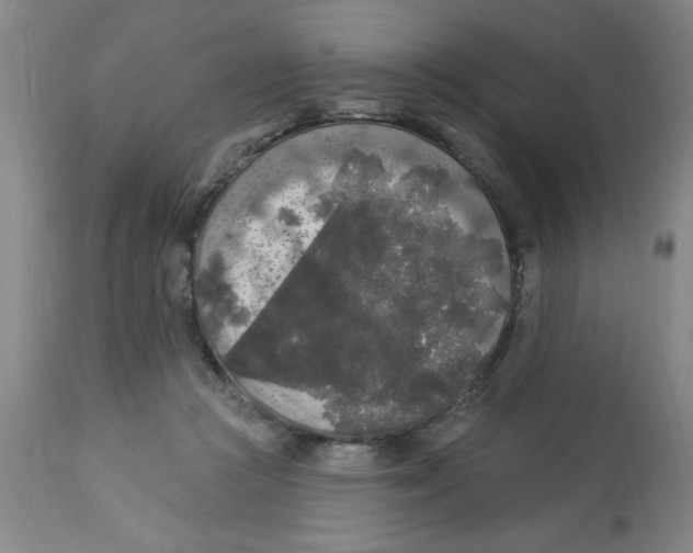 X0000112820361200909181631