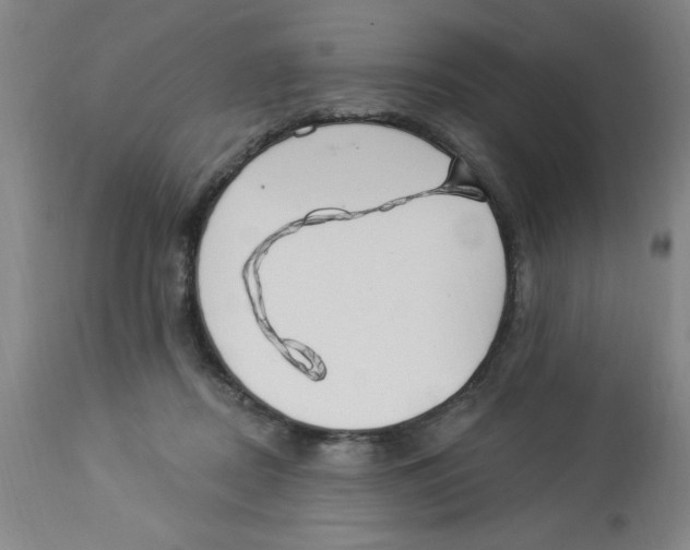 X0000112820362200909181631