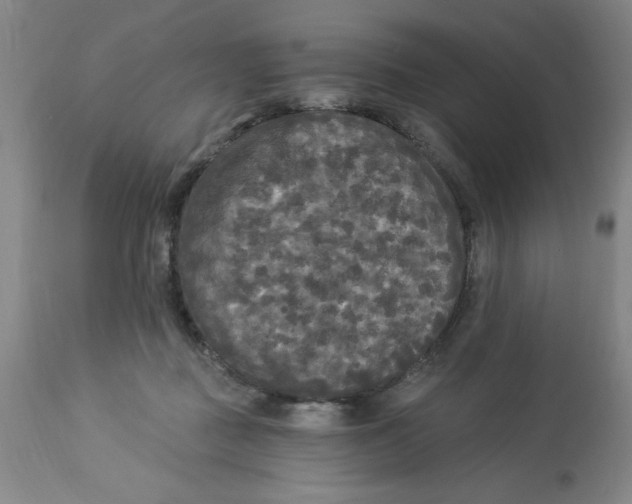 X0000112820363200909181631