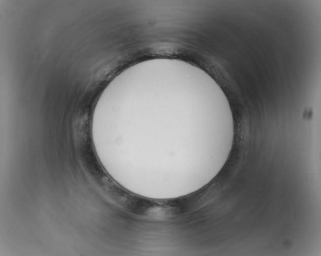 X0000112820364200909181631