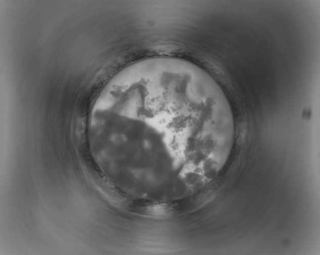 X0000112820365200909181631