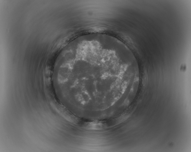 X0000112820366200909181631