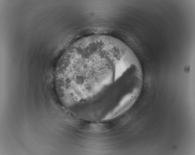 X0000112820367200909181631