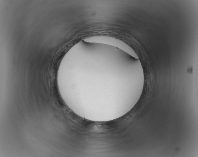 X0000112820372200909181631