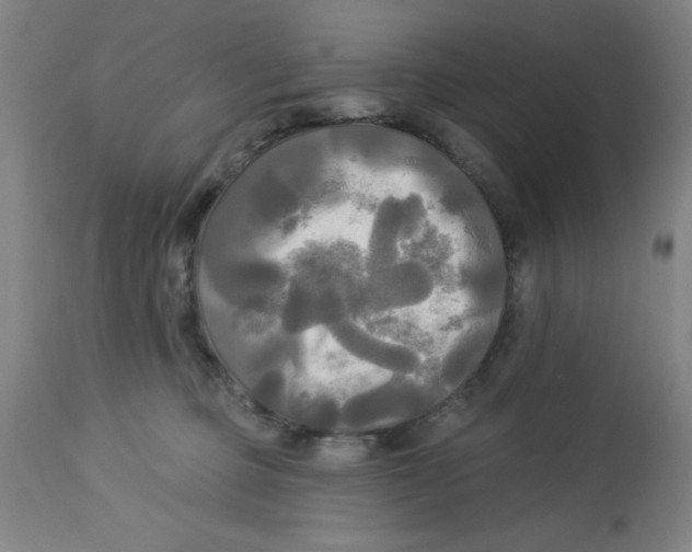 X0000112820373200909181631