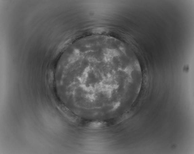 X0000112820375200909181631