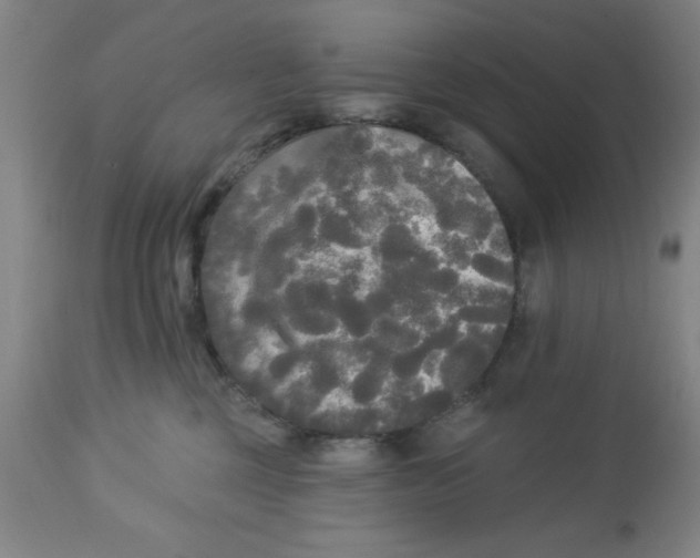 X0000112820377200909181631