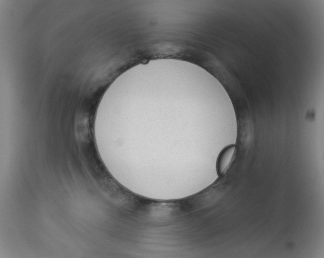 X0000112820378200909181631