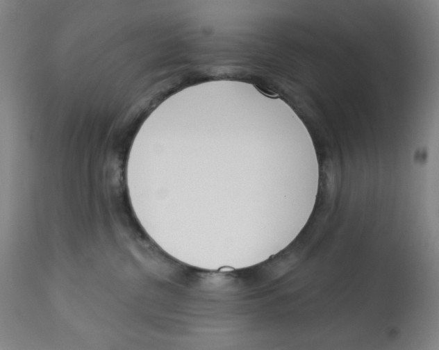 X0000112820380200909181631